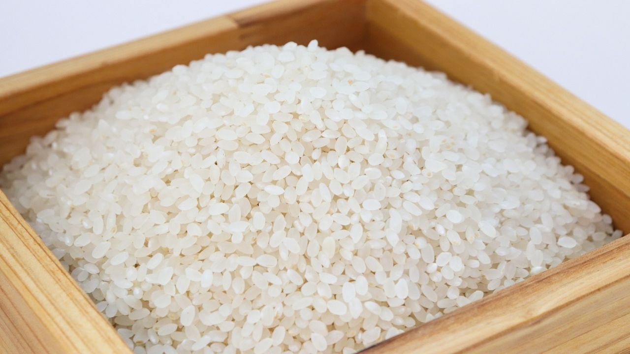 riso bianco