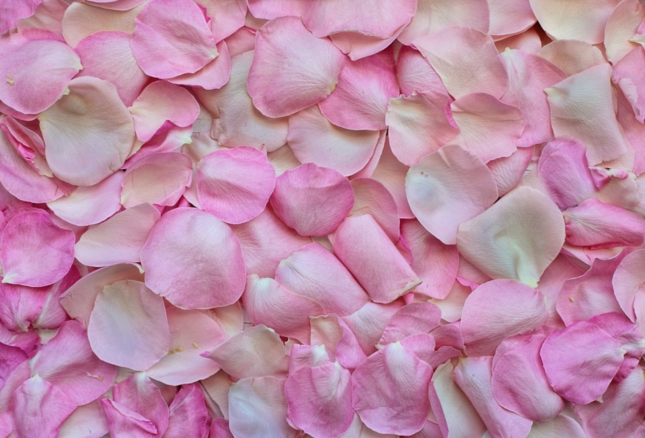 Petali di rosa, come riutilizzarli