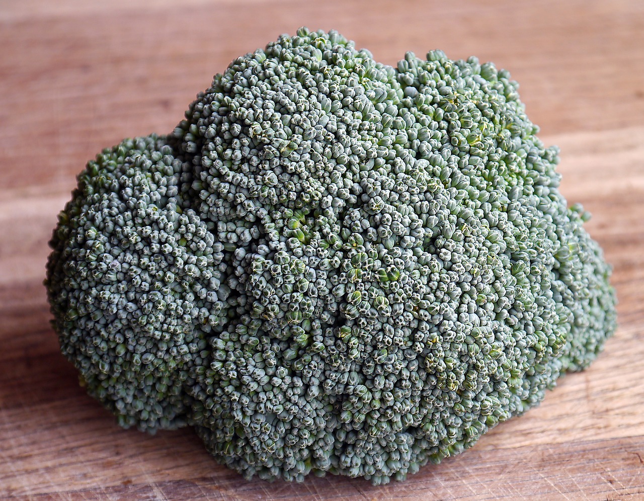 broccolo, primo piano
