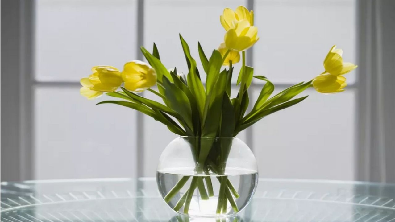 tulipani gialli nel vaso trasparente