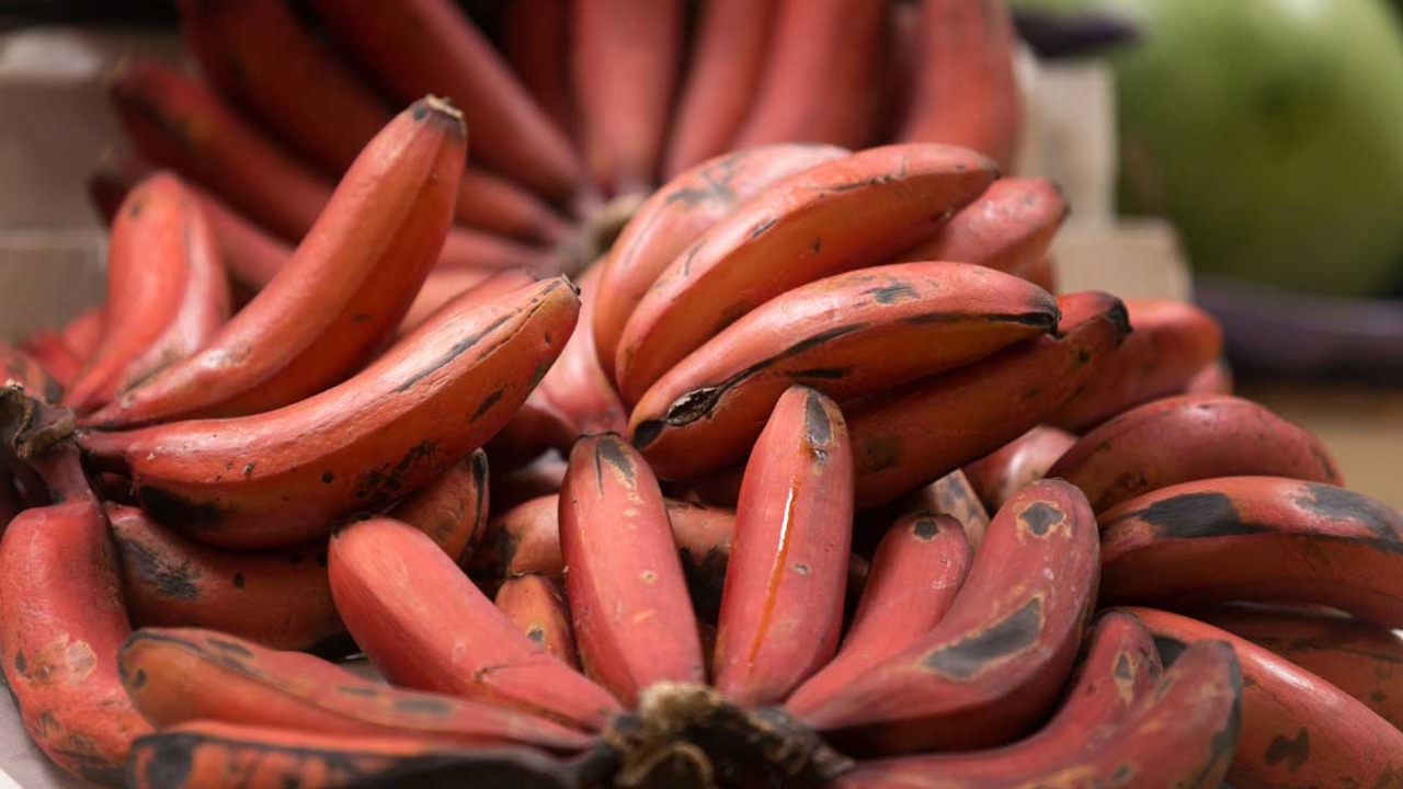 banana rossa: benefici