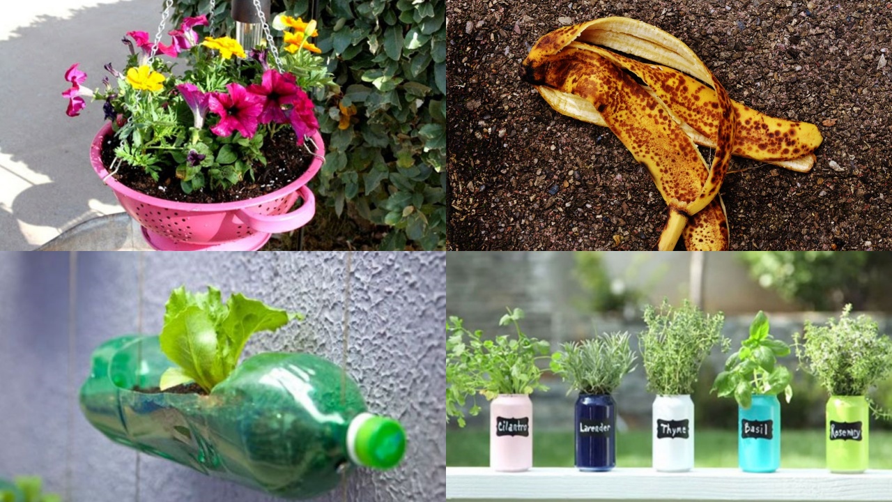Trucchetti di giardinaggio: banana, bottiglia, lattine