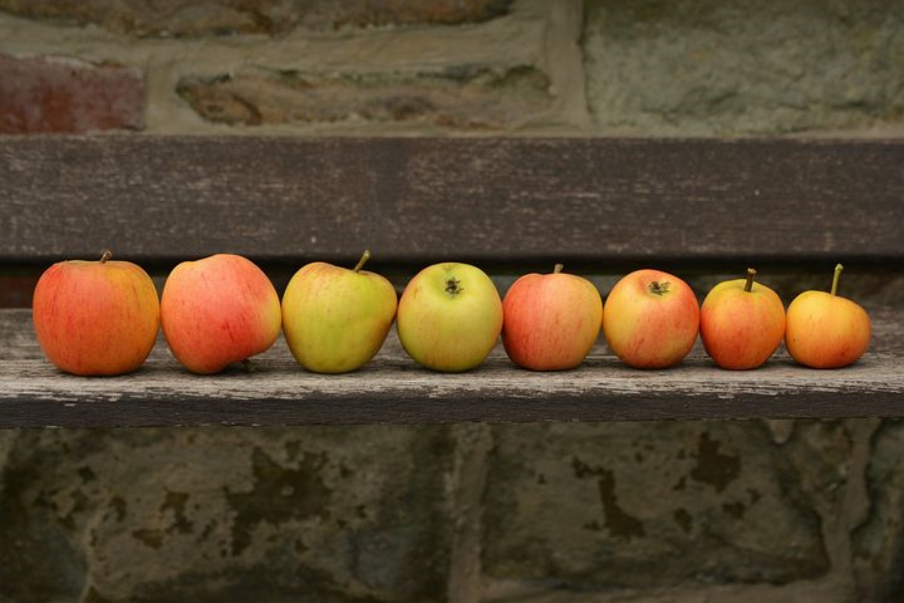 mele: curiosità sulla frutta