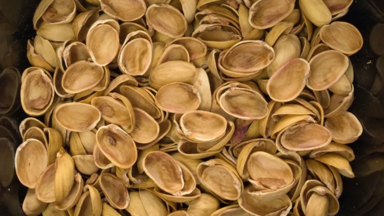 pistacchi accumulati