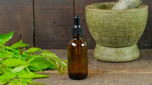 Olio di Neem: spruzza un po’ sulle tue piante, i risultati saranno sorprendenti fin da subito