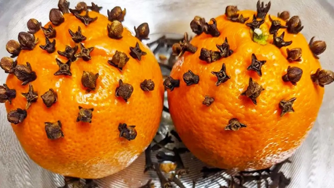Chiodi garofano arancia