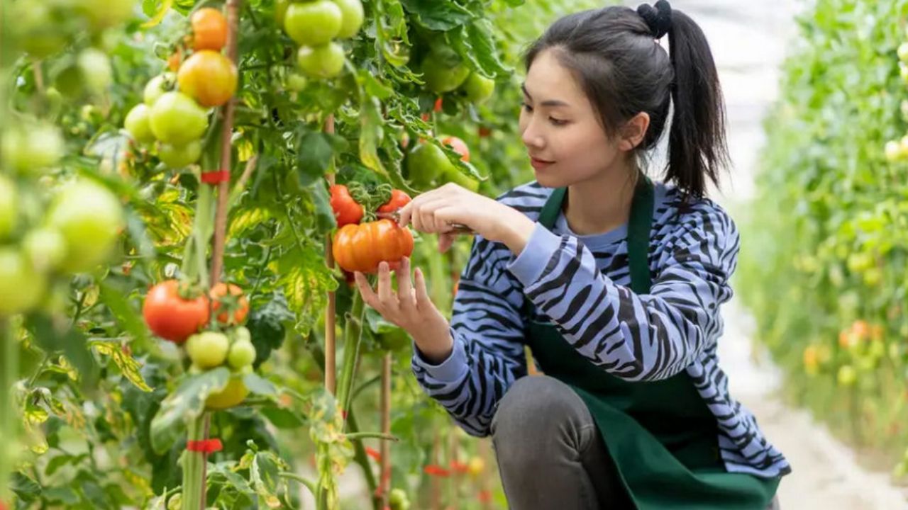 donna che si dedica all'agricoltura