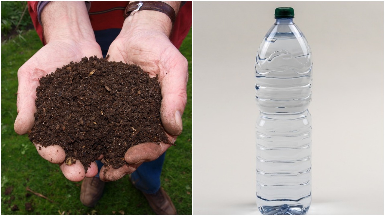 Alberi da frutto: rimedio naturale per prevenire le malattie