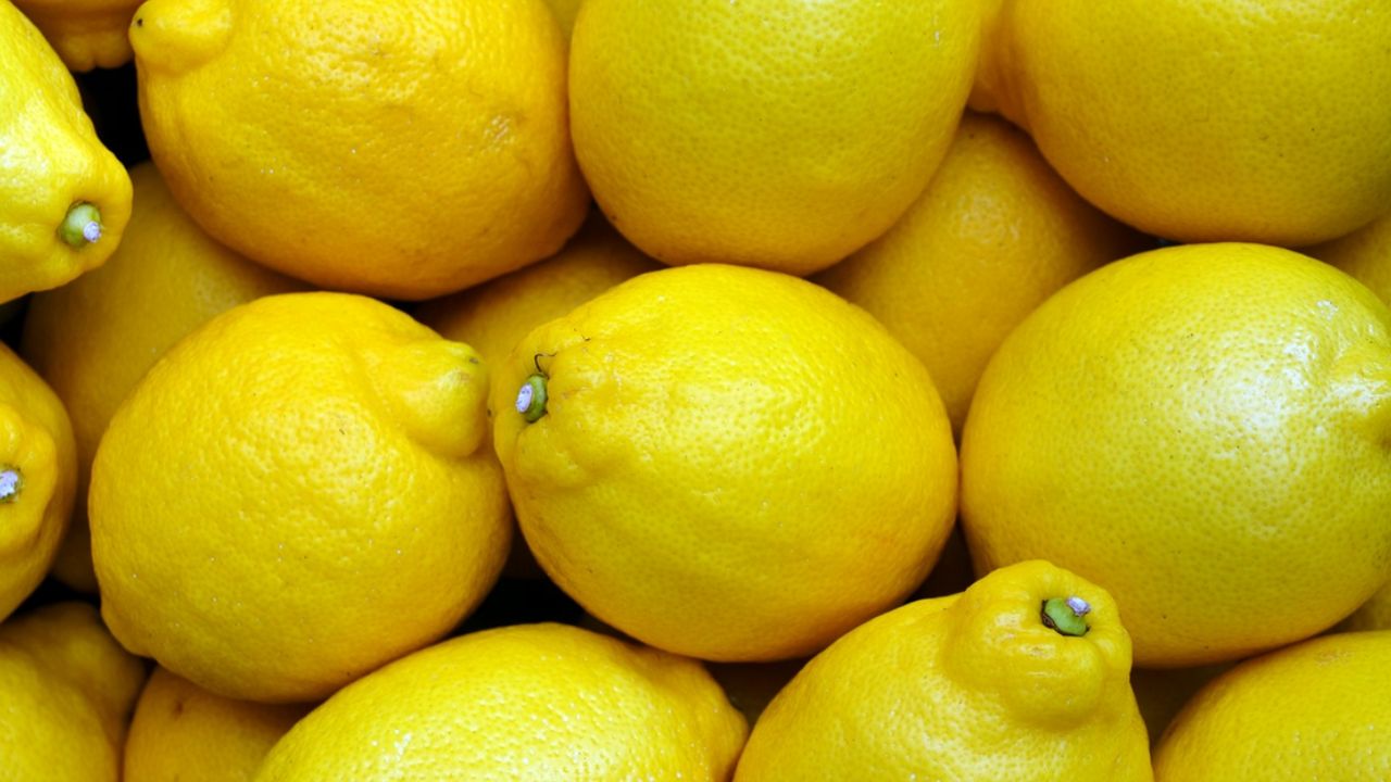 numerosi limoni