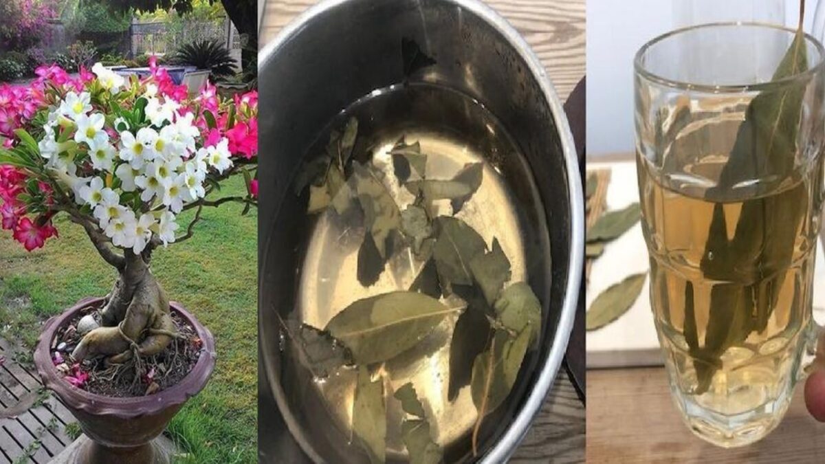 Fiaschetta Termica Con Tazza In Acciaio Inox - Stampa Fiori Selvatici, 350 Ml