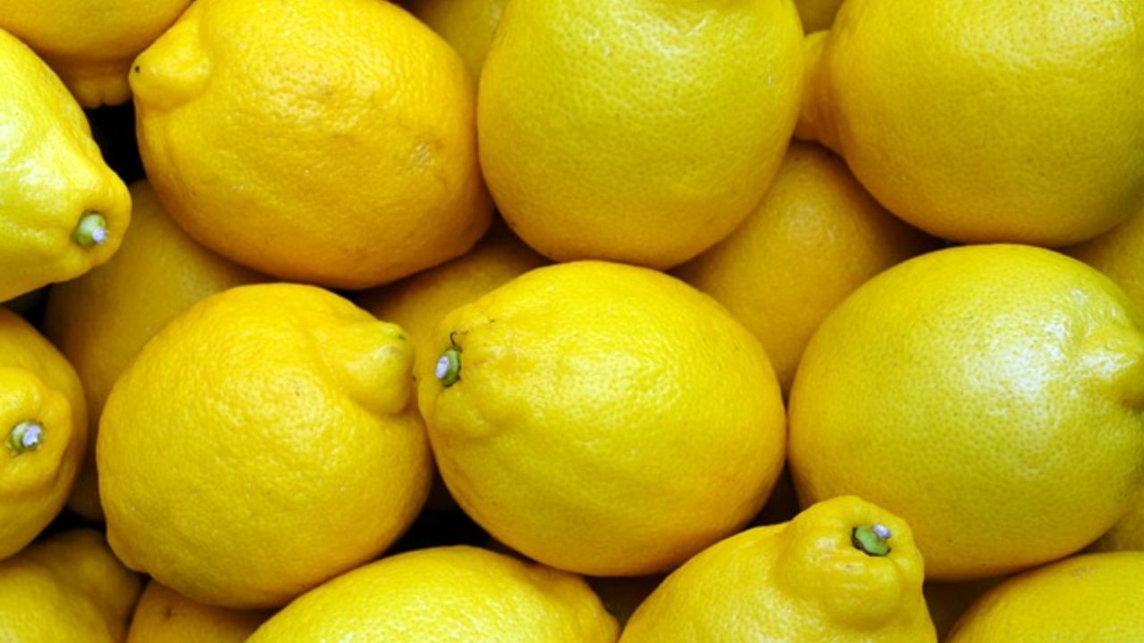 limone raccolto