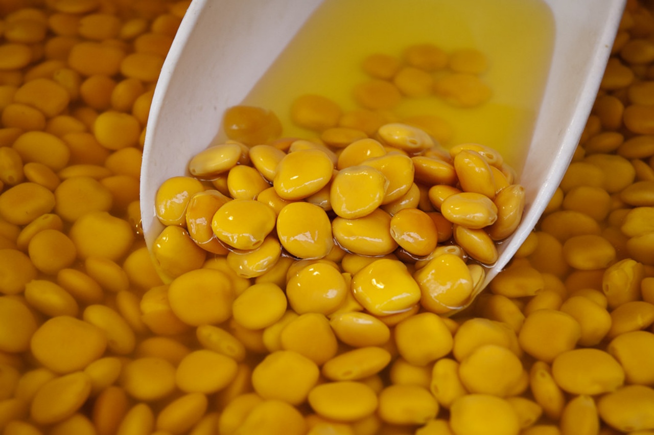 lupini