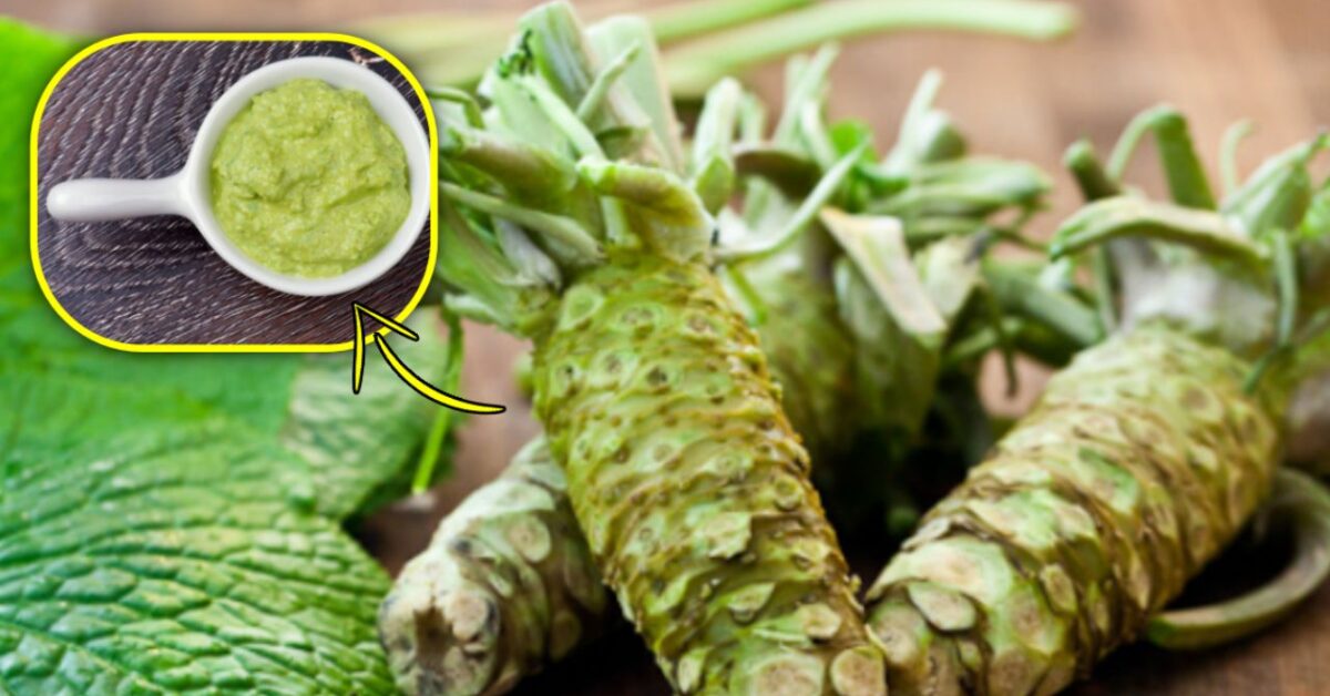 Tutto quello che c'è da sapere sul wasabi, una pianta giapponese dalle
