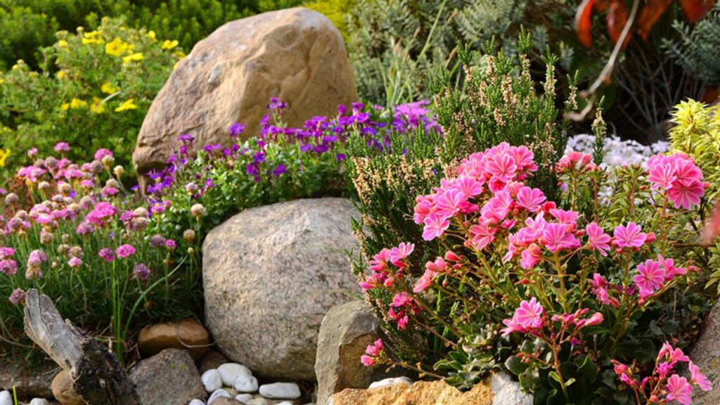 Giardino roccioso fiorito