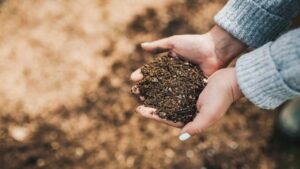 Blocchi di compost: cosa sono e a cosa servono. E perché non ne potrete più fare a meno