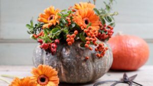 Trasformare una zucca in un vaso per piante e fiori: ecco come fare