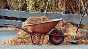 Pacciamatura invernale: i segreti per proteggere dal freddo le nostre piante