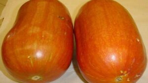 Cassabanana, tutto quello che c’è da sapere su questo strano frutto tropicale