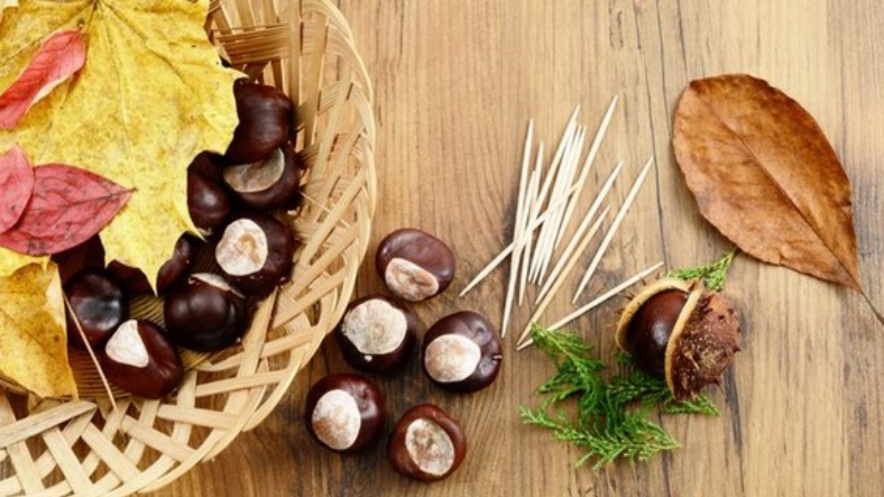 castagne nel cestino