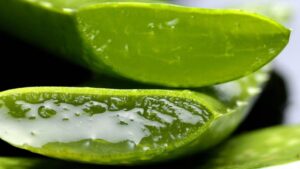 Il doppio volto dell’aloe vera: benefici e possibili rischi