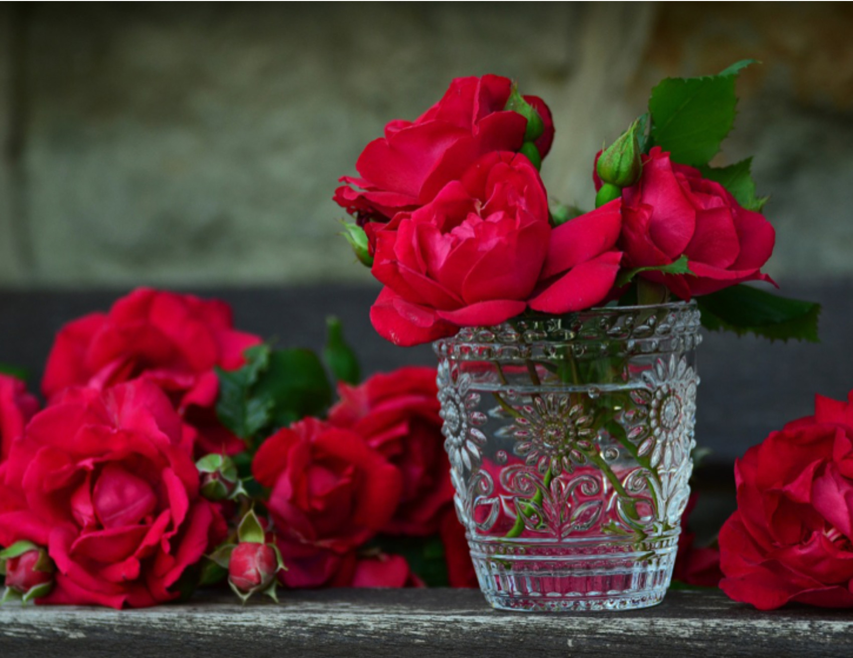Rose in vaso