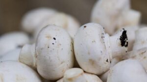 Funghi in casa: ecco come coltivarli in poche mosse