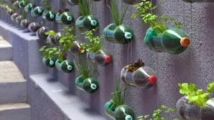 Una guida completa al giardinaggio verticale: ecco cosa fare