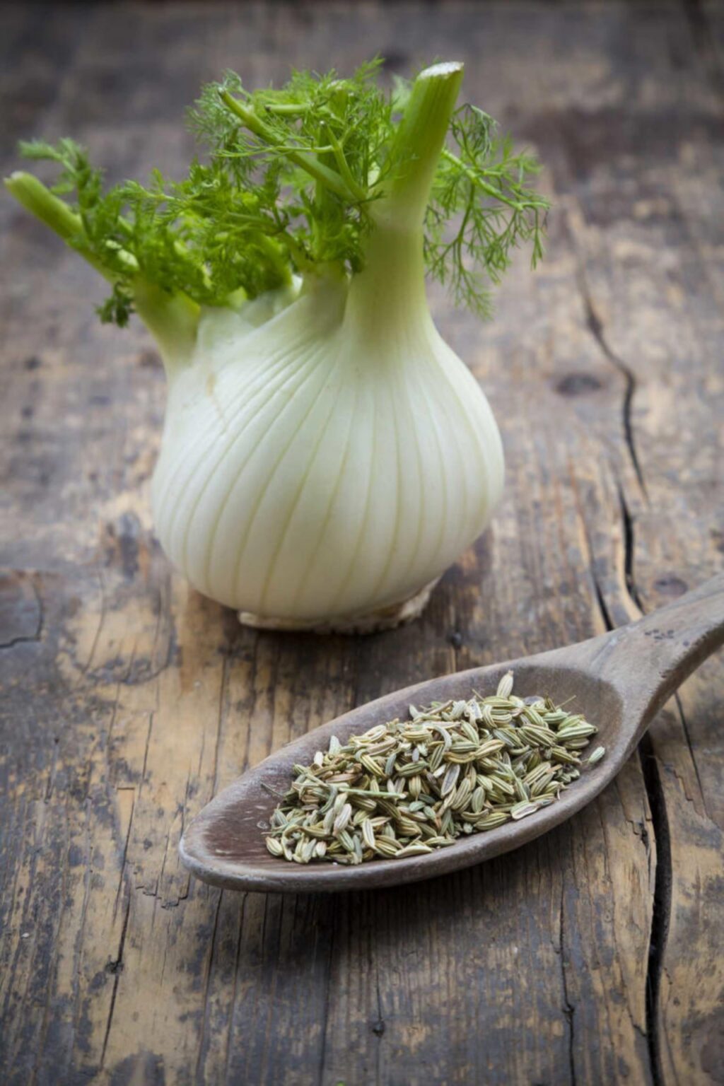 Finoccio Tea Scopri i segreti del tè al finocchio: un'analisi approfondita dei ...