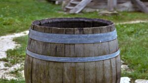 Usate l’acqua piovana per il vostro giardino? Ecco i 7 errori da non fare