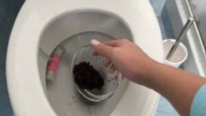 Un uso particolare del caffè: perché è necessario gettare i fondi nel water la sera?