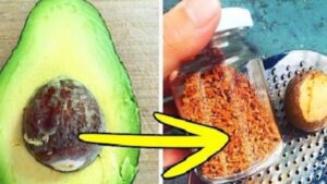 Una volta imparato questo trucco, non butterete mai più via un nocciolo di avocado