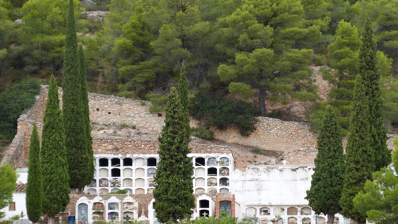 cipressi cimiteri