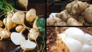 Jicama, la patata messicana che non è una patata