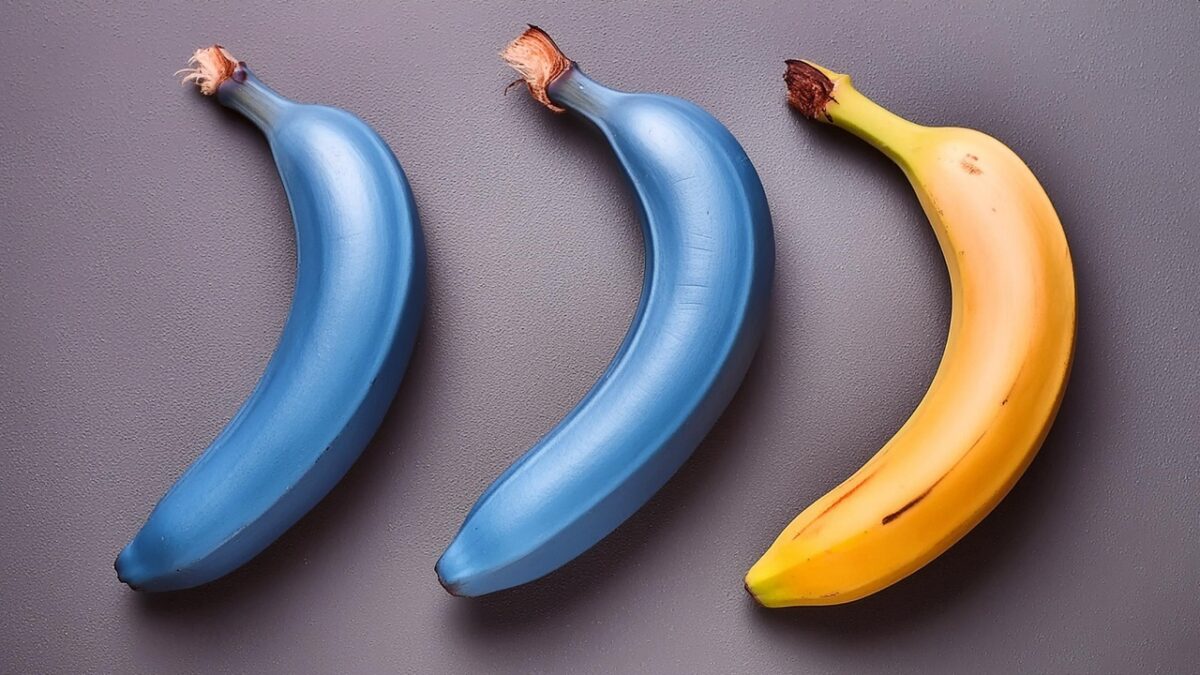 Banana Blue Java: caratteristiche e utilizzi del frutto che sa di ...