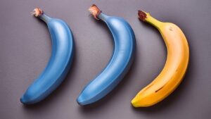 Banana Blue Java: caratteristiche e utilizzi del frutto che sa di gelato alla vaniglia