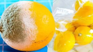Il trucco per mantenere i limoni freschi per 1 anno: niente più marciumi ne sprechi!