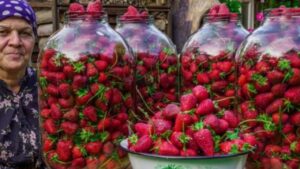 Fragole per l’inverno senza cottura o congelamento: vi spieghiamo cosa fare