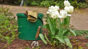 Giardinaggio in estate, gli errori da non fare