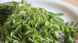 Questa pianta è un superfood straordinario, devi assolutamente conoscerla: ricca di proteine e vitamina C