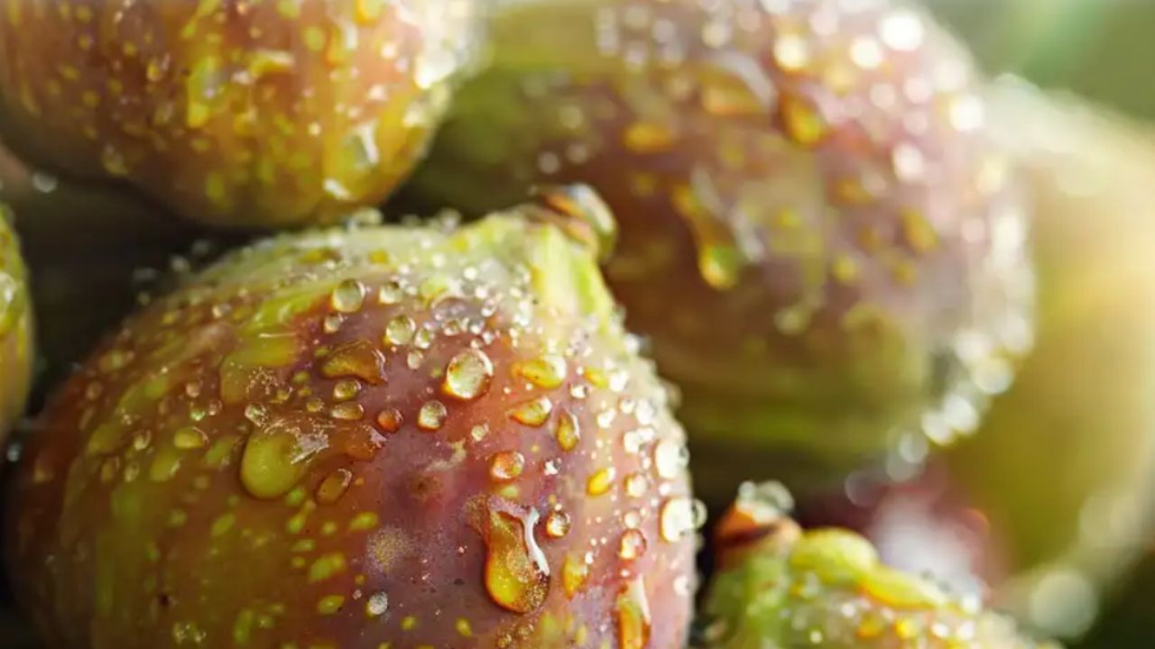 Olio Profumato Latte Di Fico 50g - Per Candele, Saponi, Diffusori E Bombe Da Bagno - Foto 5