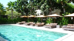 Quali piante usare per arredare il bordo piscina?