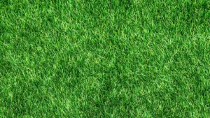 Come tagliare l’erba artificiale per avere un giardino impeccabile?