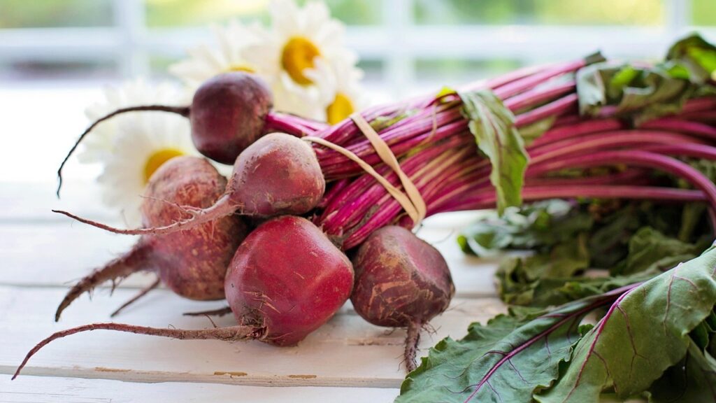 Barbabietole perfette: il metodo giusto per farle crescere al meglio