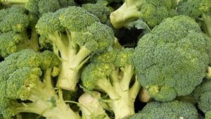 Broccoli: quando raccoglierli e come mantenerli freschi