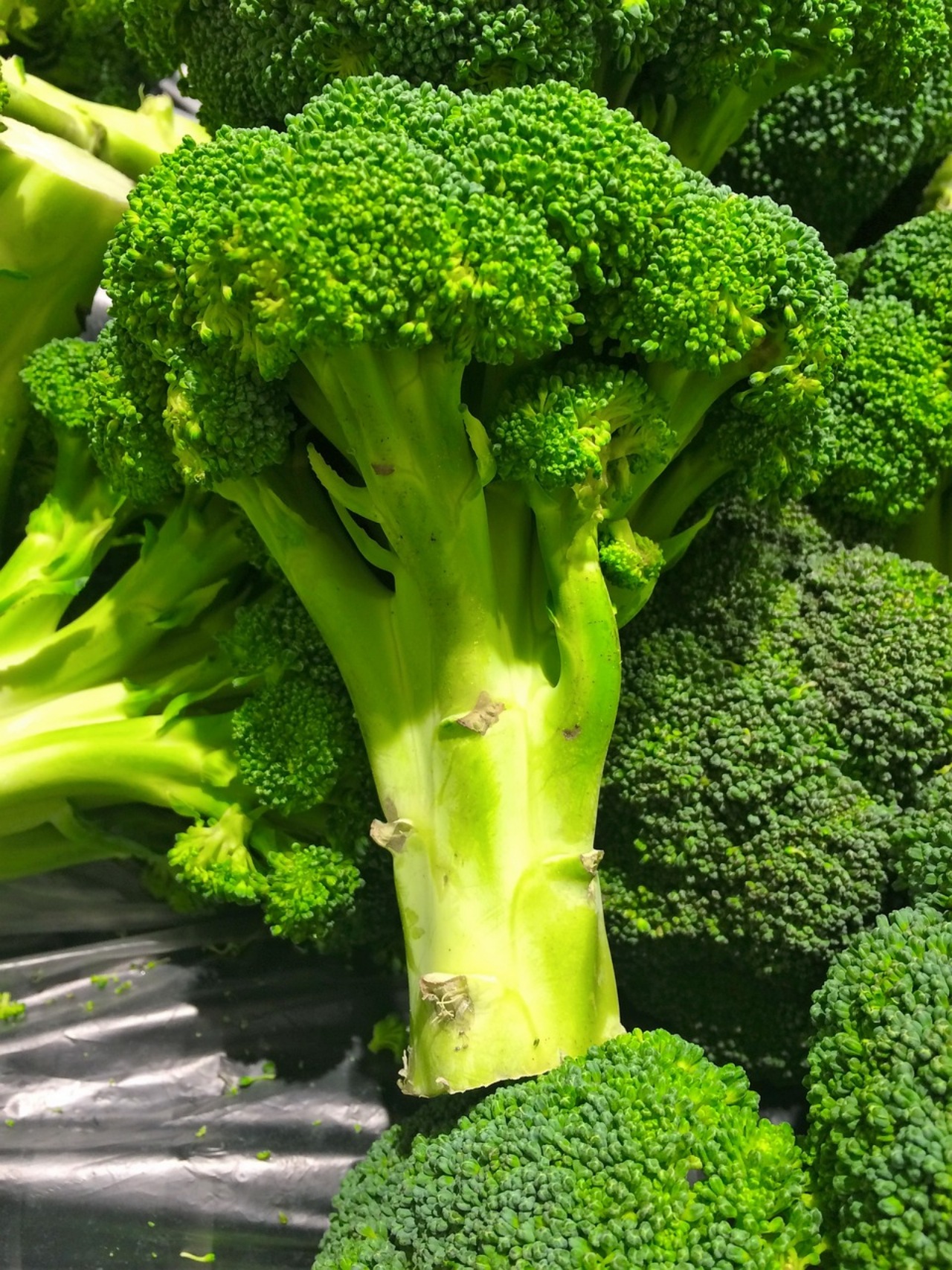 Broccoli: come mantenerli freschi