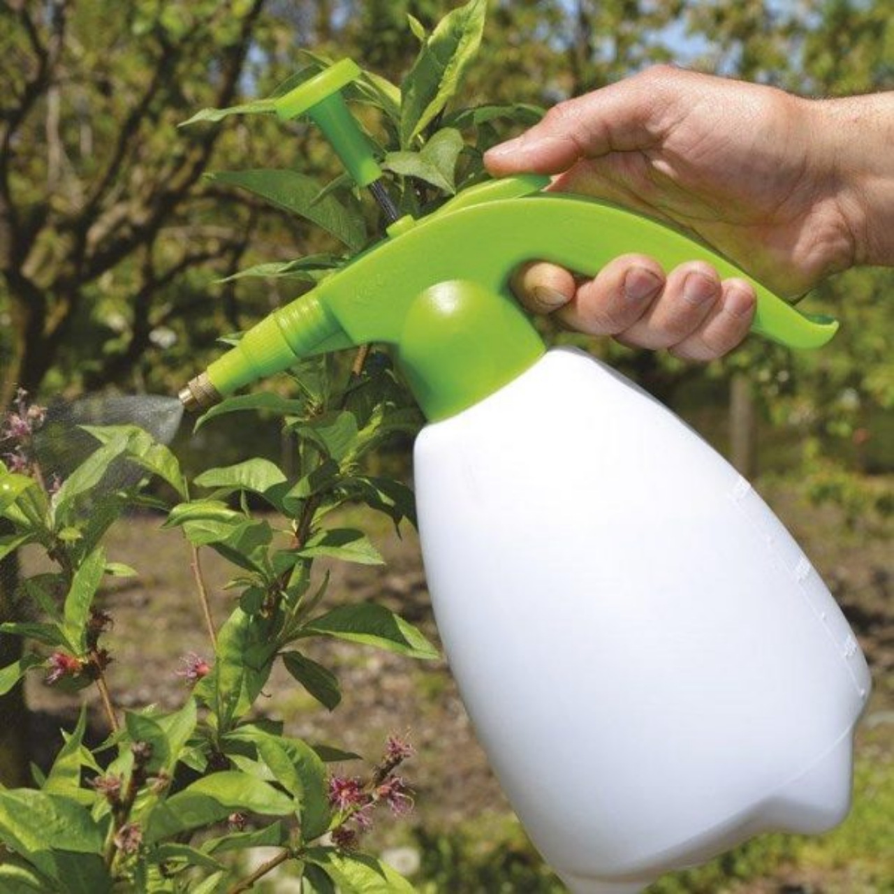 Fertilizzante fatto in casa: ecco come crearlo