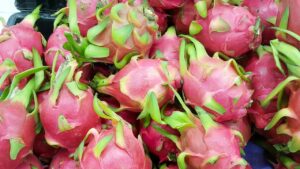 Come coltivare il frutto del drago e aggiungere un tocco esotico al tuo giardino
