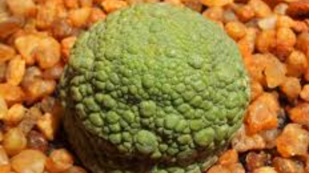 Pseudolithos come pietra