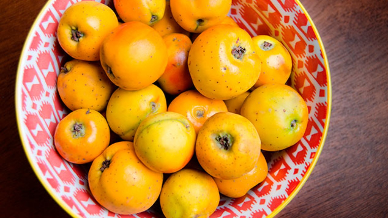 Tejocote: frutto messicano