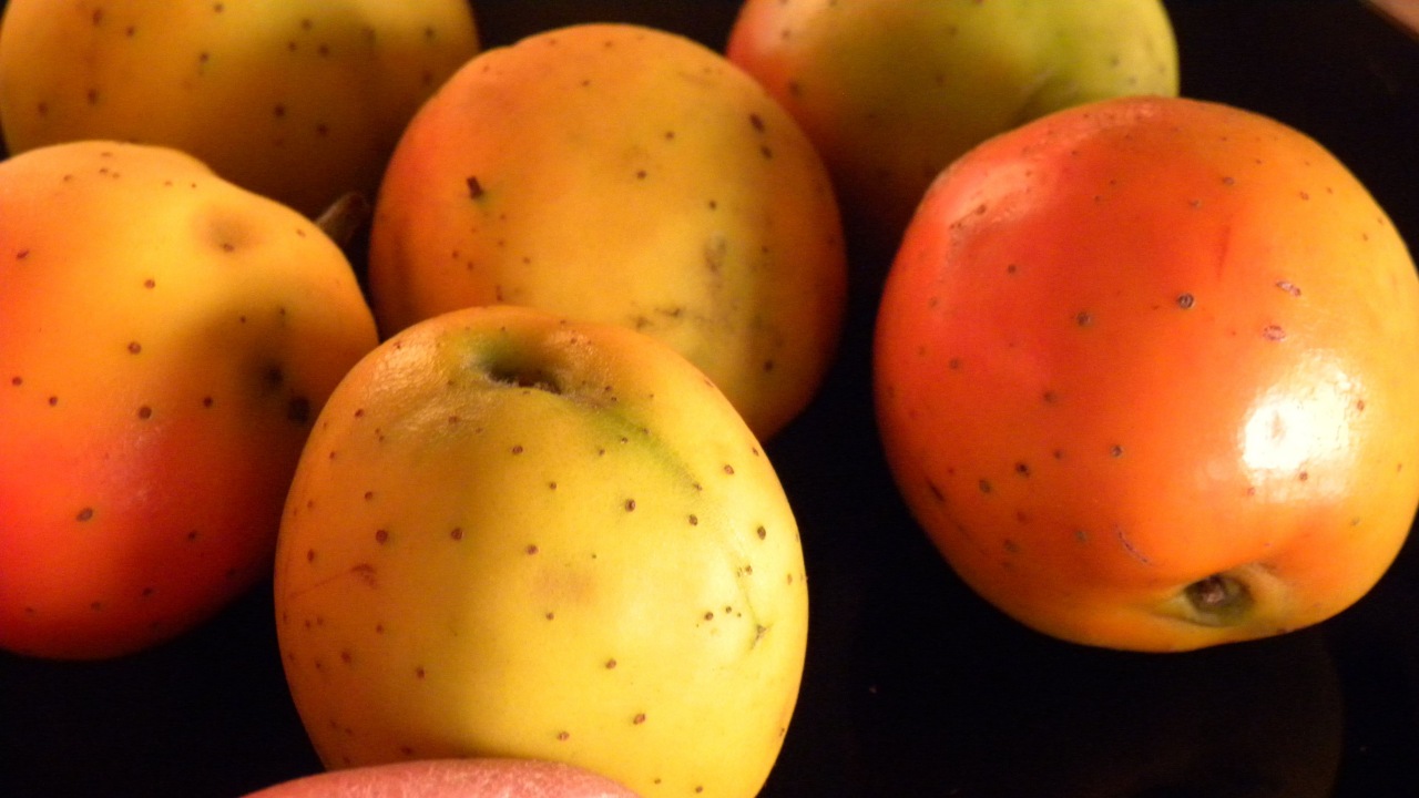 Tejocote: frutto messicano